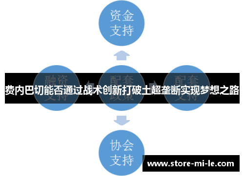 费内巴切能否通过战术创新打破土超垄断实现梦想之路