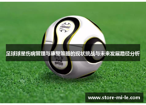 足球球星伤病管理与康复策略的现状挑战与未来发展路径分析