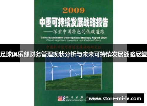 足球俱乐部财务管理现状分析与未来可持续发展战略展望 足球俱乐部财务管理现状分析与未来可持续发展战略展望