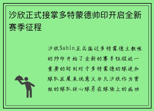 沙欣正式接掌多特蒙德帅印开启全新赛季征程